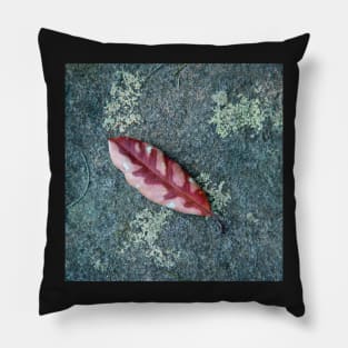 Leaf on Rock Pillow