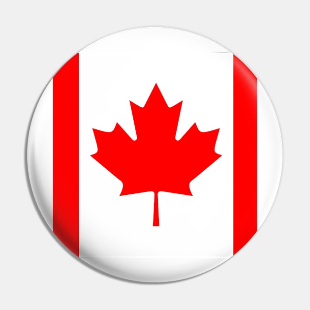 Canada Century Pin by Alvd Design