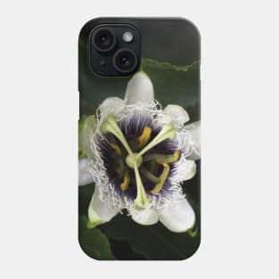 Passion Flower Closeup 2 Phone Case