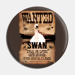 The most wanted Swan in Sandford Pin