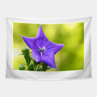 Purple Balloon flower Tapestry