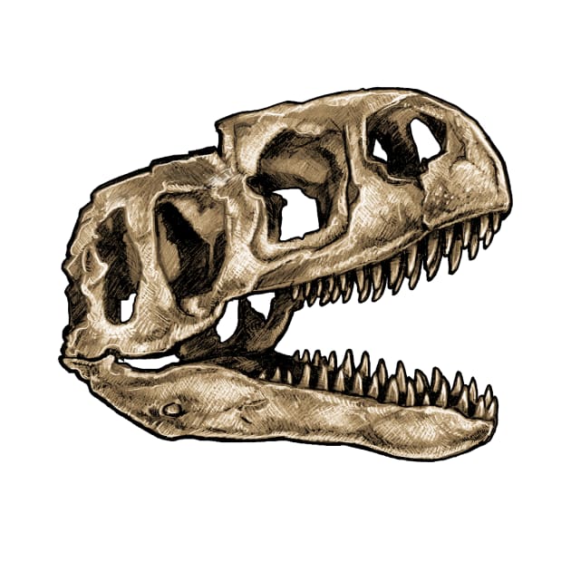 Dinosaur Skull Neovenator Sticker by CassWArt