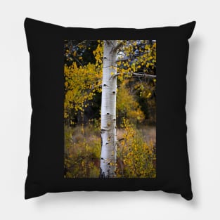 Aspen Bark Pillow