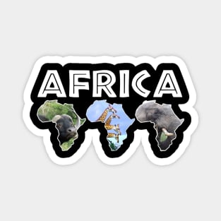 African Wildlife Continent Trio Magnet