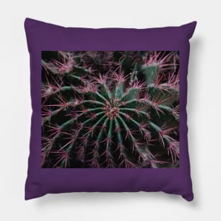 cactus Pillow