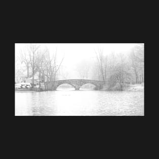 Snow at Clove Lakes Bridge T-Shirt