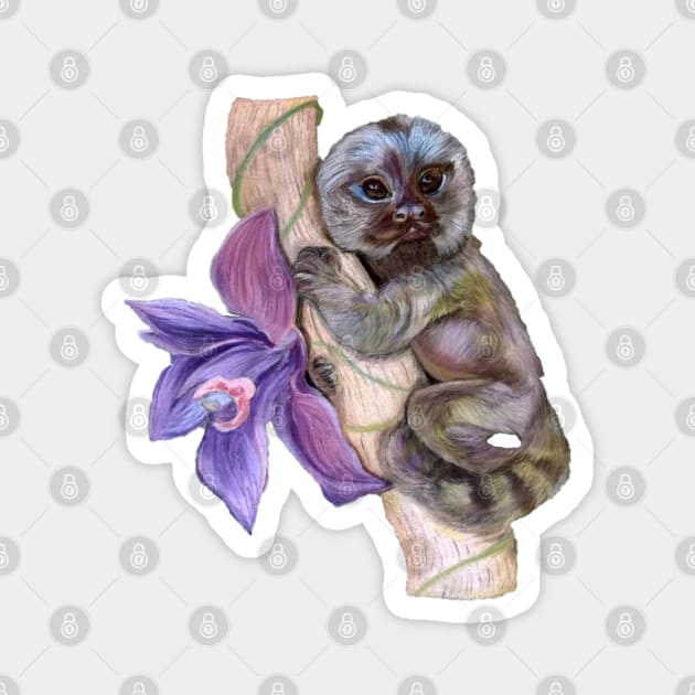 Pygmy Marmoset Magnet by mariasibireva