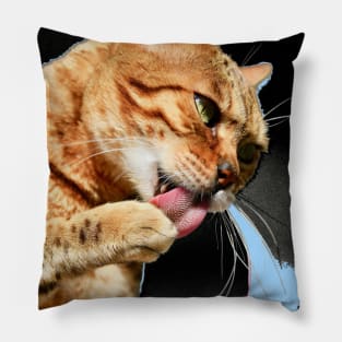 Bengal Katze 2 / Swiss Artwork Photography Pillow