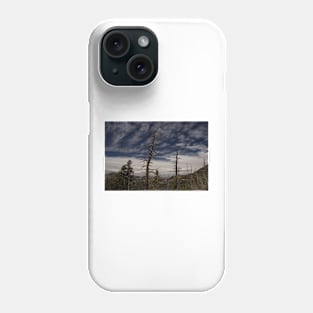 WGC_3941 Phone Case