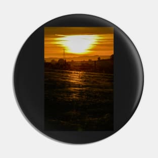 Spiderling gossamer sunset Pin