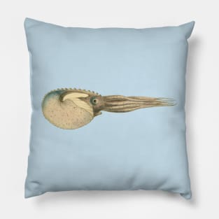 Argonaut Vintage Scientific Illustration Pillow