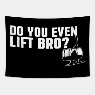 Funny Do You Even Lift Bro Ski/Snowboard Ski Lift Tapestry