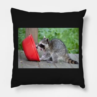 Sweet Baby Raccoon Pillow