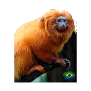 Mico-leão-dourado, Golden Lion tamarin T-Shirt