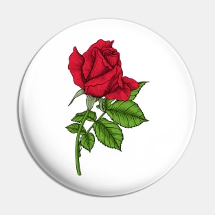 Red rose Pin