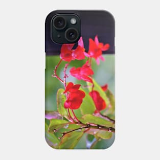 Dragon Wing Begonia Phone Case