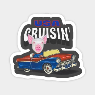 Adorable and cute Pig driving a funny and vintage car through the USA Magnet