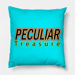 Peculiar Treasure Pillow