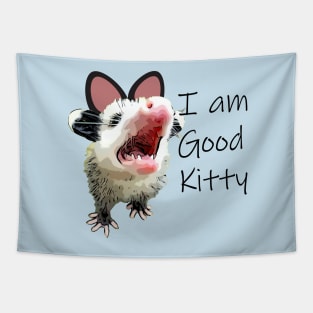 Good Kitty Opossum Tapestry