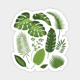 Palm Leaves Magnet