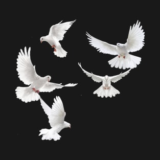 Bird white dove T-Shirt