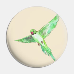 Indian Ringneck Parakeet Pin