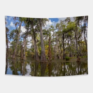 Cypress Trees and Reflections in the Bayou Swamp Tapestry