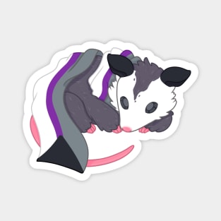 Demi sexual Pride Possum Magnet