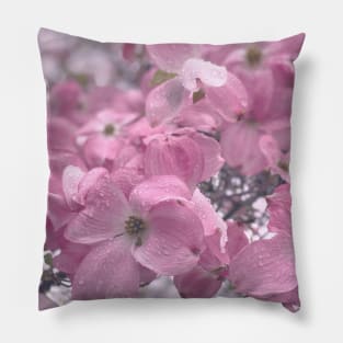 Pink Flowers in Spring Pillow