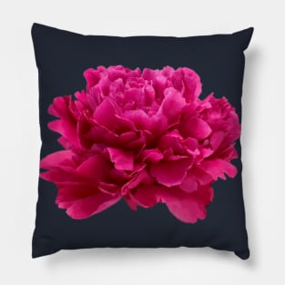 Hot Pink Peony Close-up Pillow