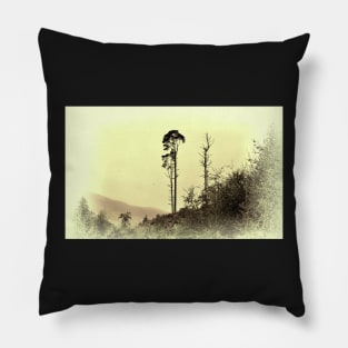 Tall Pine 2 Pillow