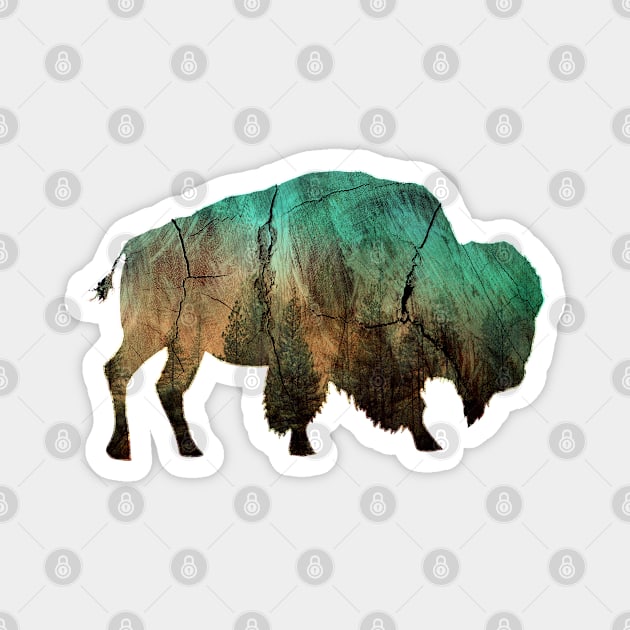 Buffalo Bison on the Prairie Magnet by MerchFrontier