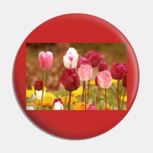 Blossoming pink tulips, romantic spring altered flower photography Pin