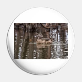 Wood Duck Pin