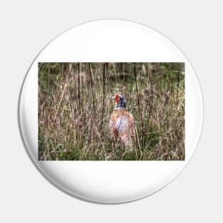 Pheasant in Long Grass Pin