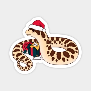 Western Hognose, Normal / Wildtype Christmas Edition Magnet