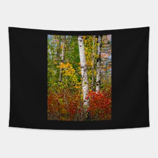 Fall colors Tapestry