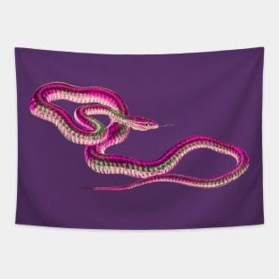 serpent,cobra,reptile,viper,venom,lizard,rattlesnake,king cobra Tapestry