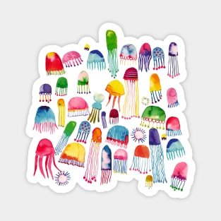 Pocket - Watercolor Marine Jellyfishes Magnet