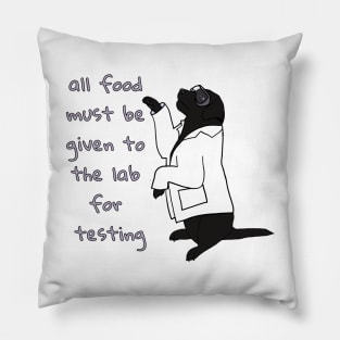 Lab Testing Food Pillow