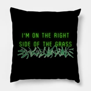 On the right side of the grass Pillow