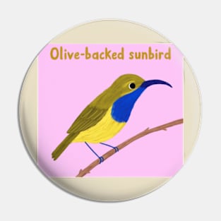 Olive-backed sunbird Pin