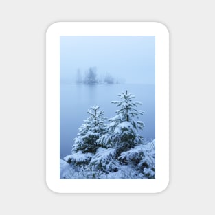 Foggy winter lake and spruce trees Magnet