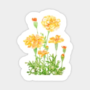 orange Mexican marigold flowers Magnet