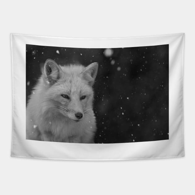 White Fox Tapestry by jswolfphoto