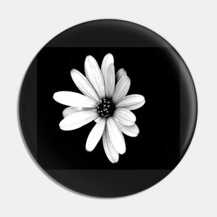 Black and White Flower Pin