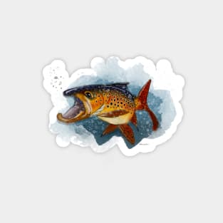 Brown Trout in Water Magnet