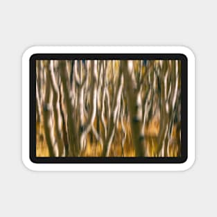 Aspen Abstract Magnet