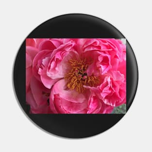 Coral Peony Pin