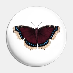 Mourning Cloak Pin